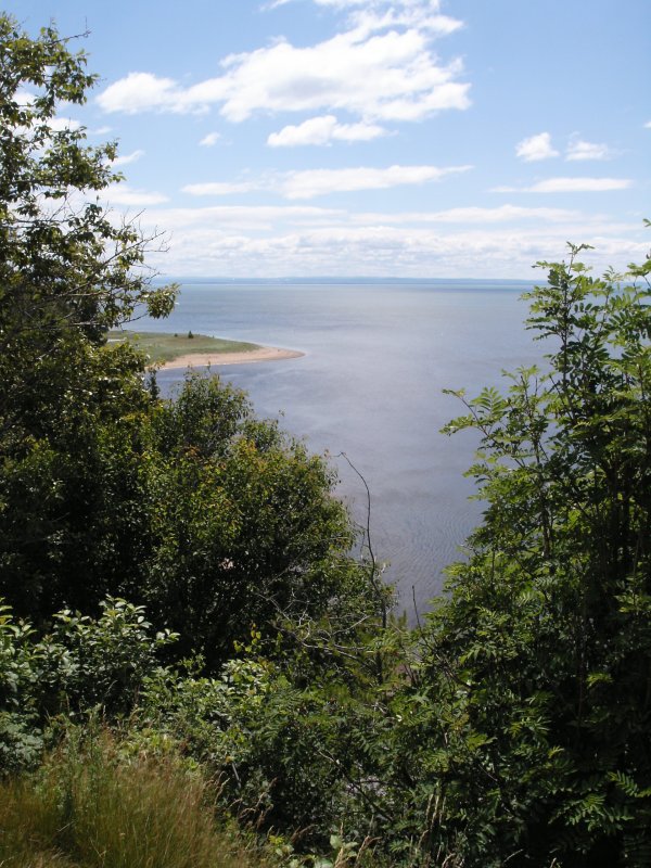KIF_1677