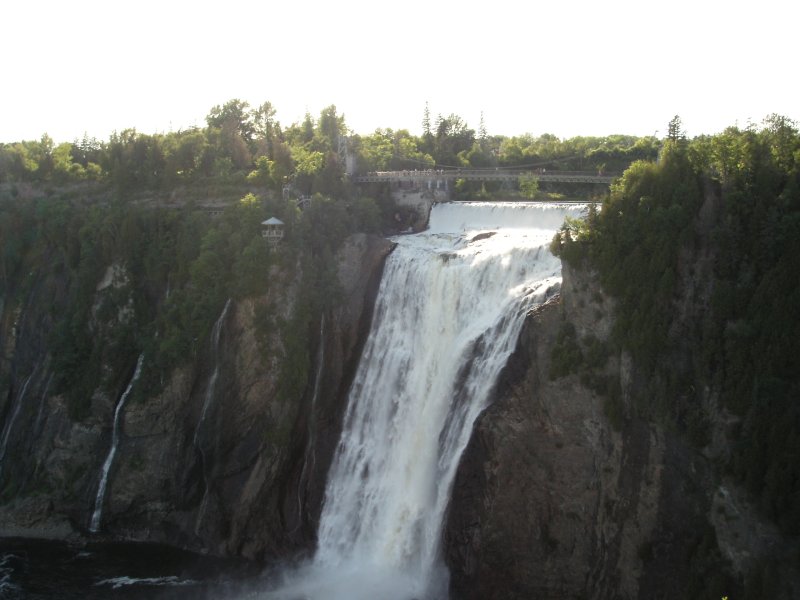 KIF_1705
