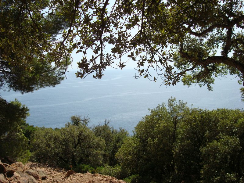 DSC00083