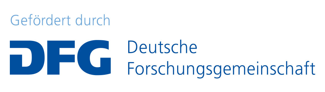 DFG Logo DFG Logo