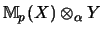 $\displaystyle {\mathbb{M} }_p(X) \otimes_\alpha Y$