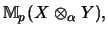 $\displaystyle {\mathbb{M} }_p(X \otimes_\alpha Y),$