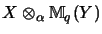 $\displaystyle X \otimes_\alpha {\mathbb{M} }_q(Y)$