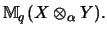 $\displaystyle {\mathbb{M} }_q(X \otimes_\alpha Y).$