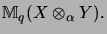 $\displaystyle {\mathbb{M}}_q(X \otimes_\alpha Y).$