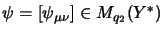 $ \psi = [\psi_{\mu\nu}] \in M_{q_2}(Y^*)$