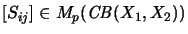 $ [S_{ij}] \in M_p(\mathit{CB}(X_1,X_2)) $