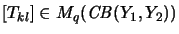 $ [T_{kl}] \in M_q(\mathit{CB}(Y_1,Y_2)) $