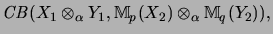 $\displaystyle \mathit{CB}(X_1 \otimes_\alpha Y_1, {\mathbb{M}}_p(X_2) \otimes_\alpha {\mathbb{M}}_q(Y_2)),$