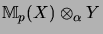 $\displaystyle {\mathbb{M}}_p(X) \otimes_\alpha Y$