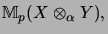 $\displaystyle {\mathbb{M}}_p(X \otimes_\alpha Y),$