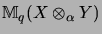 $\displaystyle {\mathbb{M}}_q(X \otimes_\alpha Y)$