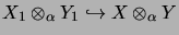 $ X_1 \otimes_\alpha Y_1 \hookrightarrow X \otimes_\alpha Y $