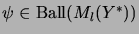 $ \psi \in \mathrm{Ball}(M_l(Y^*))$