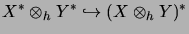 $\displaystyle X^* \otimes_h Y^* \hookrightarrow (X \otimes_h Y)^*
$