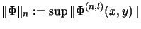 $\displaystyle \Vert\Phi\Vert _n :=
\sup \Vert \Phi^{(n,l)}(x , y)\Vert
$